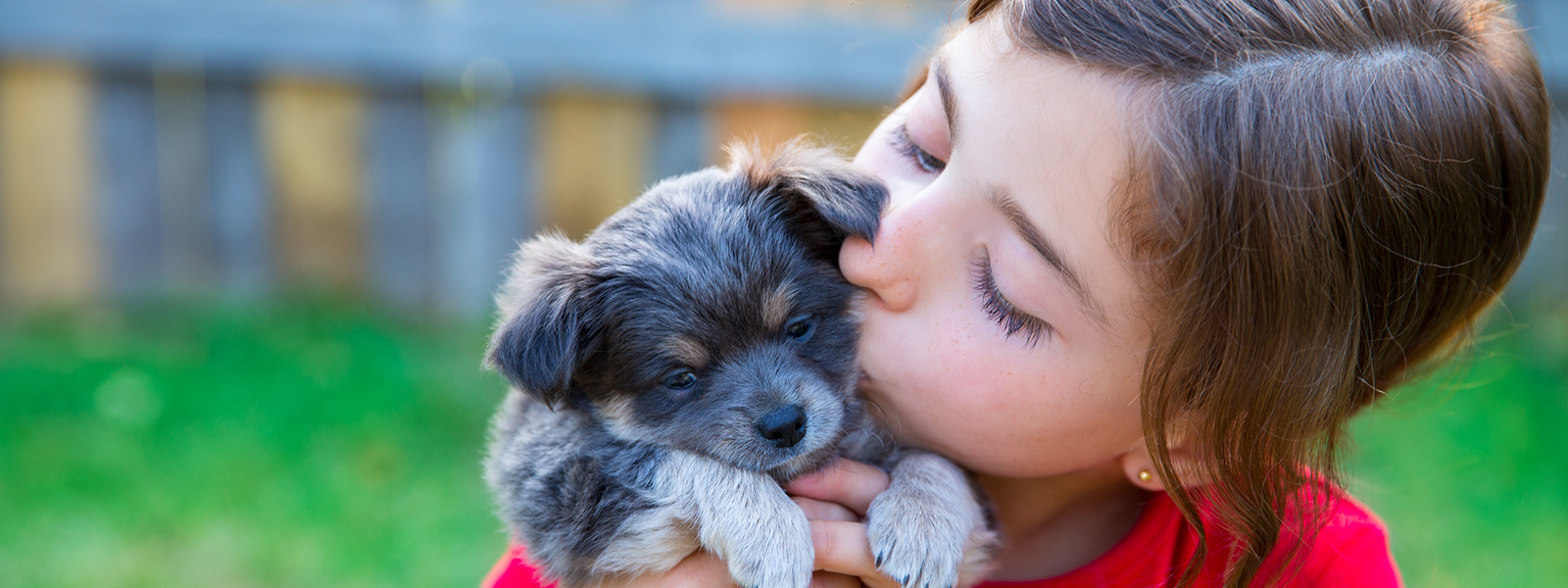 Puppy girl video. Лучшие животные по мнению детей. Girl Patting a Puppy. Korean girl with Puppy. Sad child holding a Puppy.